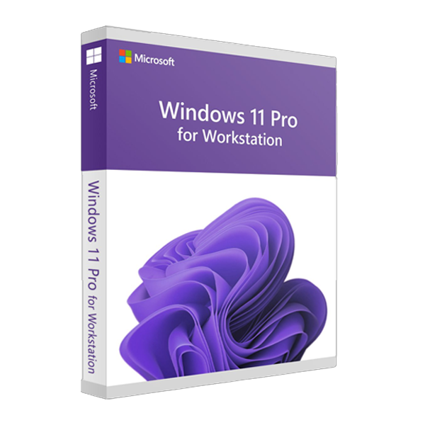 Windows 11 Pro for WORKSTATION